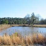 Community Lake